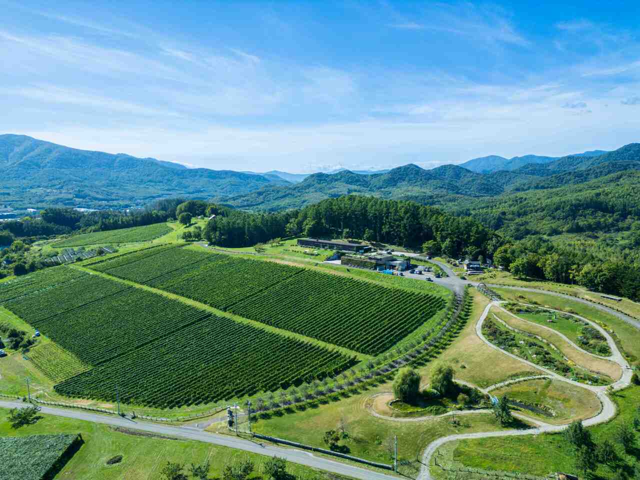 ワイン／NIKI Hills Winery イメージ