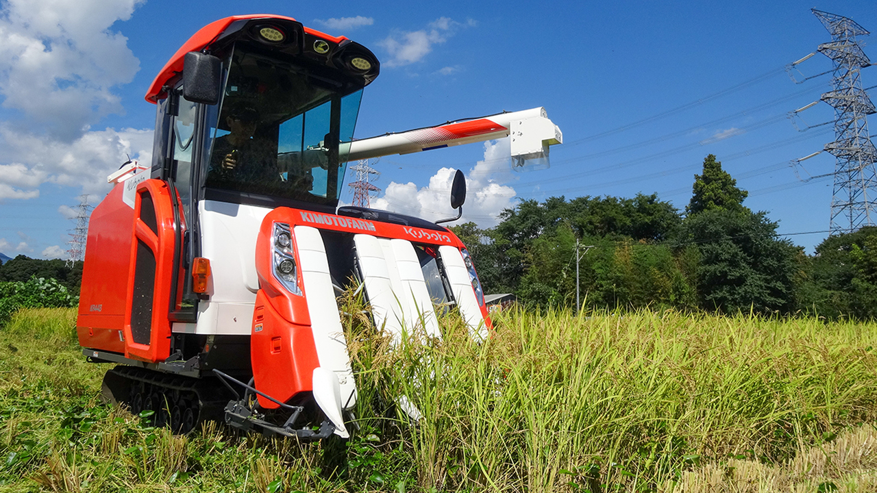 農薬・化学肥料不使用 実りの百年米（コシヒカリ） イメージ