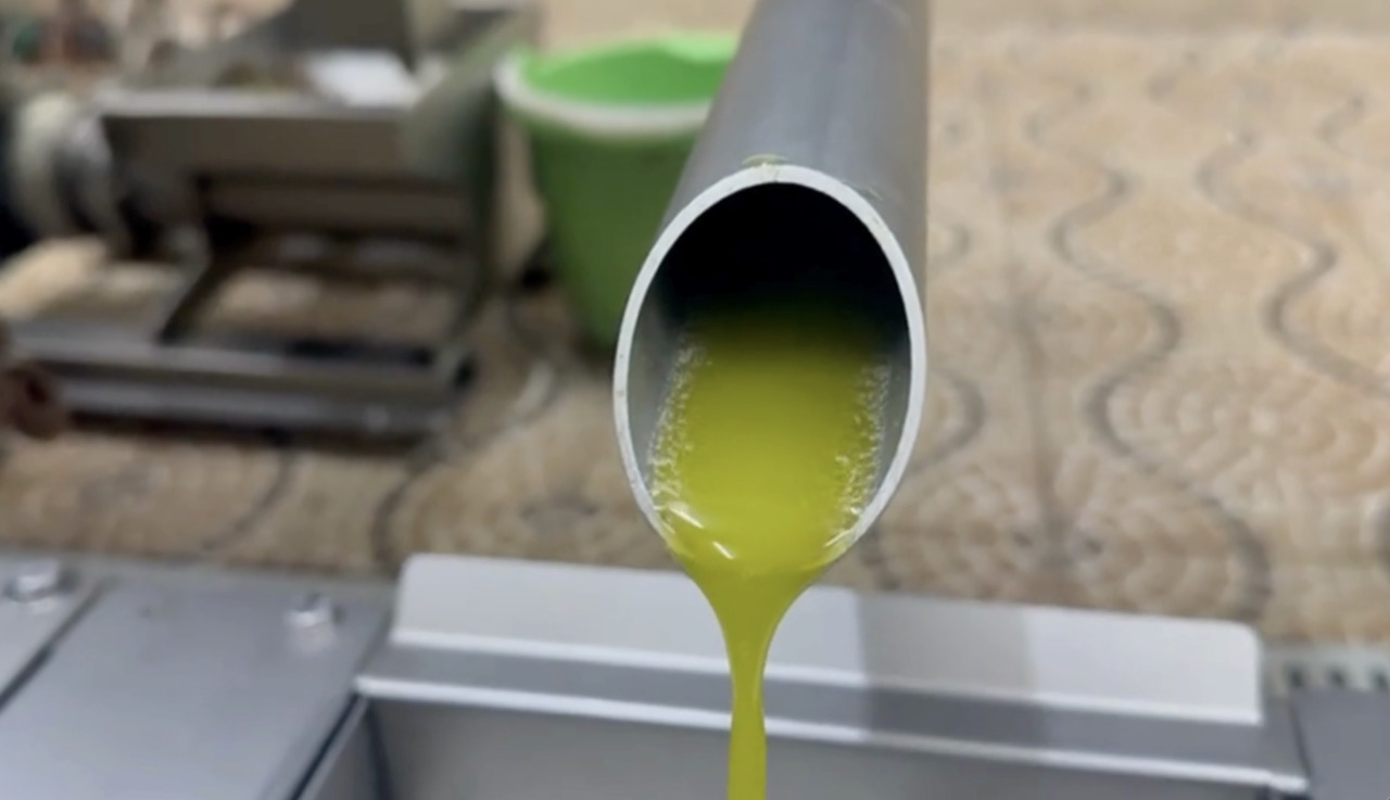 BYRSA シェトゥイ種 超高ポリフェノール（1371mg/kg）オーガニック エクストラバージンオリーブオイル イメージ