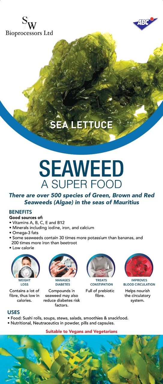 Sea Lettuce - Seaweed from Mauritius  Image
