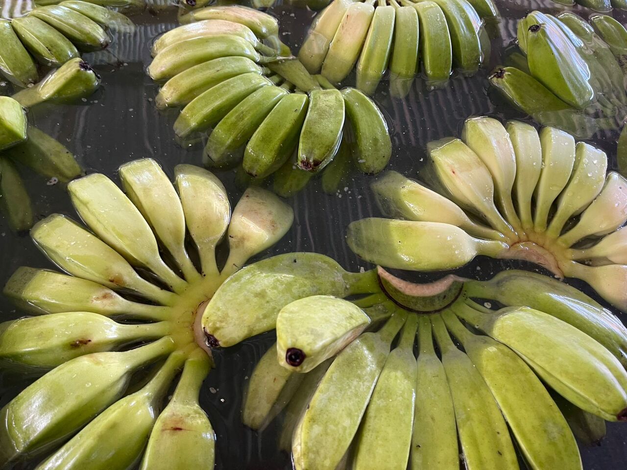 Fresh Cardava Banana Image