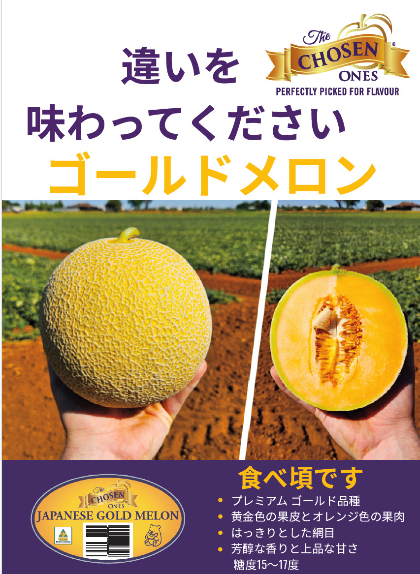 Asian Netted Melons Image