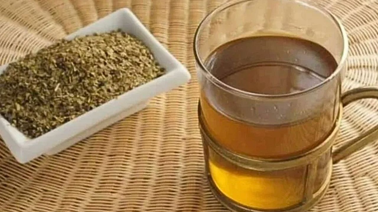 TARAGUI - MATE TEA BAGS マテ茶 ティバッグ 1箱 (20袋入) イメージ