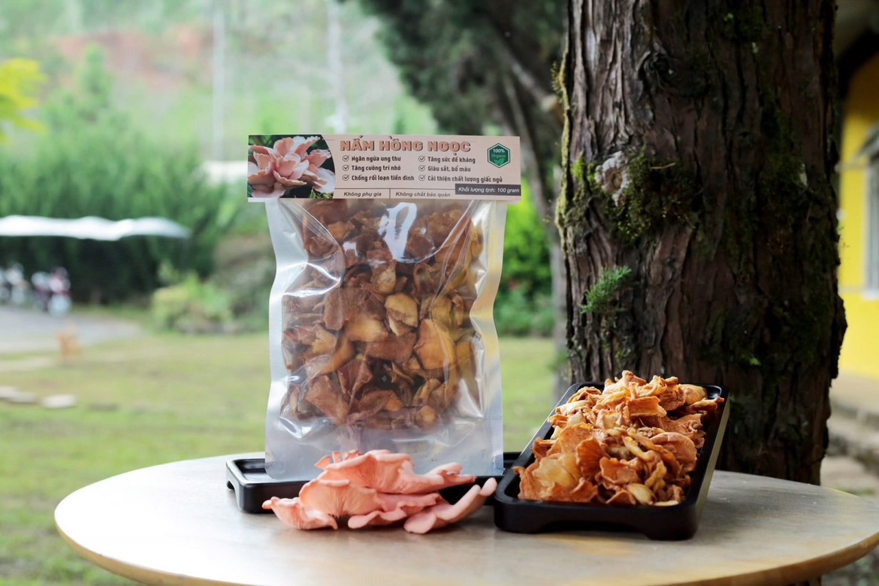 生鮮きのこ、冷凍きのこ、乾燥きのこ、きのこパウダー、きのこスナック イメージ