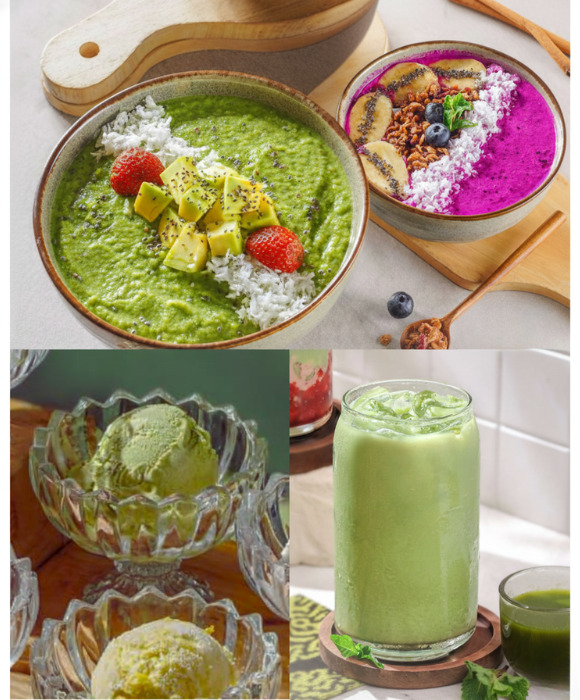 有機栽培モリンガ イメージ