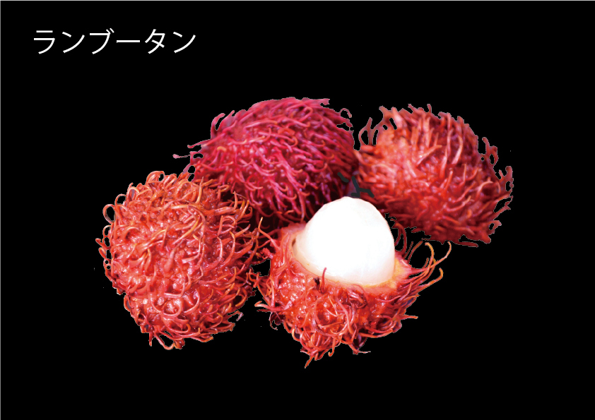 冷凍フルーツ（マンゴーダイスカット・ドラゴンフルーツダイスカット・ランブータンホール・パッションフルーツホール） イメージ