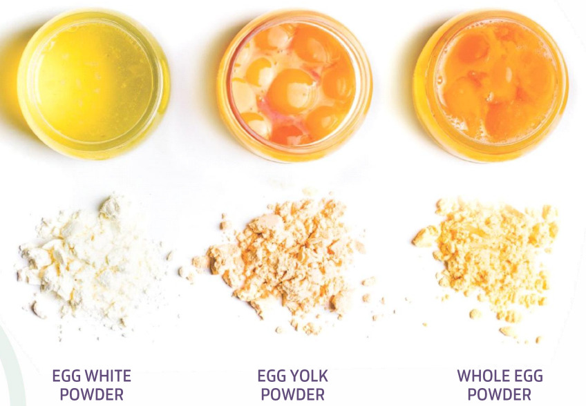 Egg Yolk Powder HS, Egg White Powder HG, Whole Egg Powder Liquid Eggs, Egg Yolk Liquid with 20% sugar, Egg Yolk Liquid with 10% salt Image
