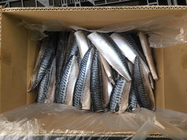 Norwegian Mackerel Salted with Kelp Image