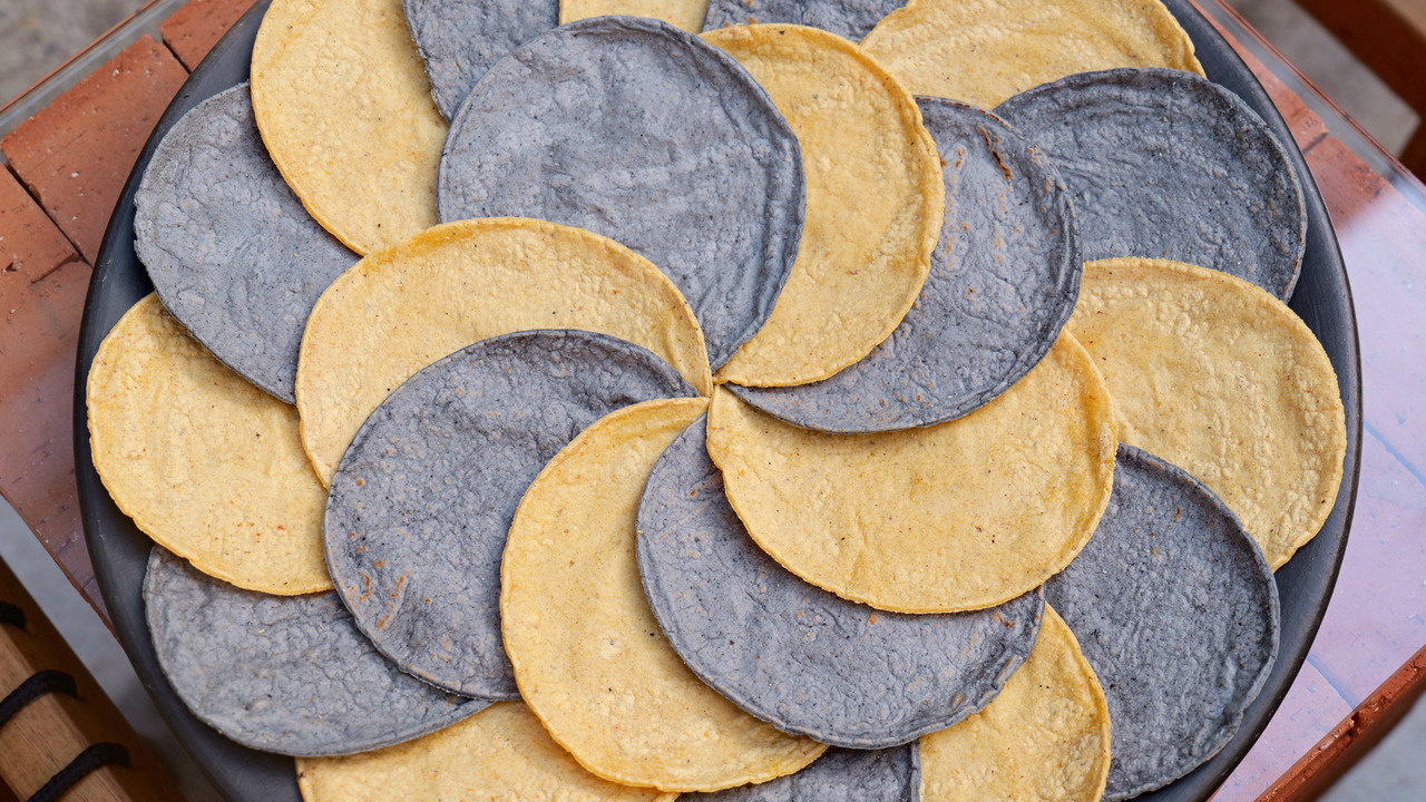 Yellow corn tortillas Image