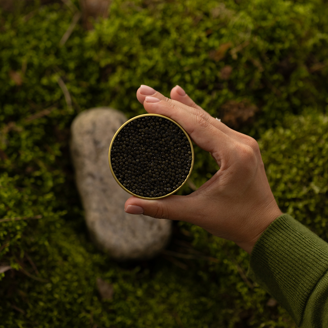 Antonius Caviar Siberian - fresh unpasteurized caviar from Siberian sturgeon (Acipenser baerii) Image