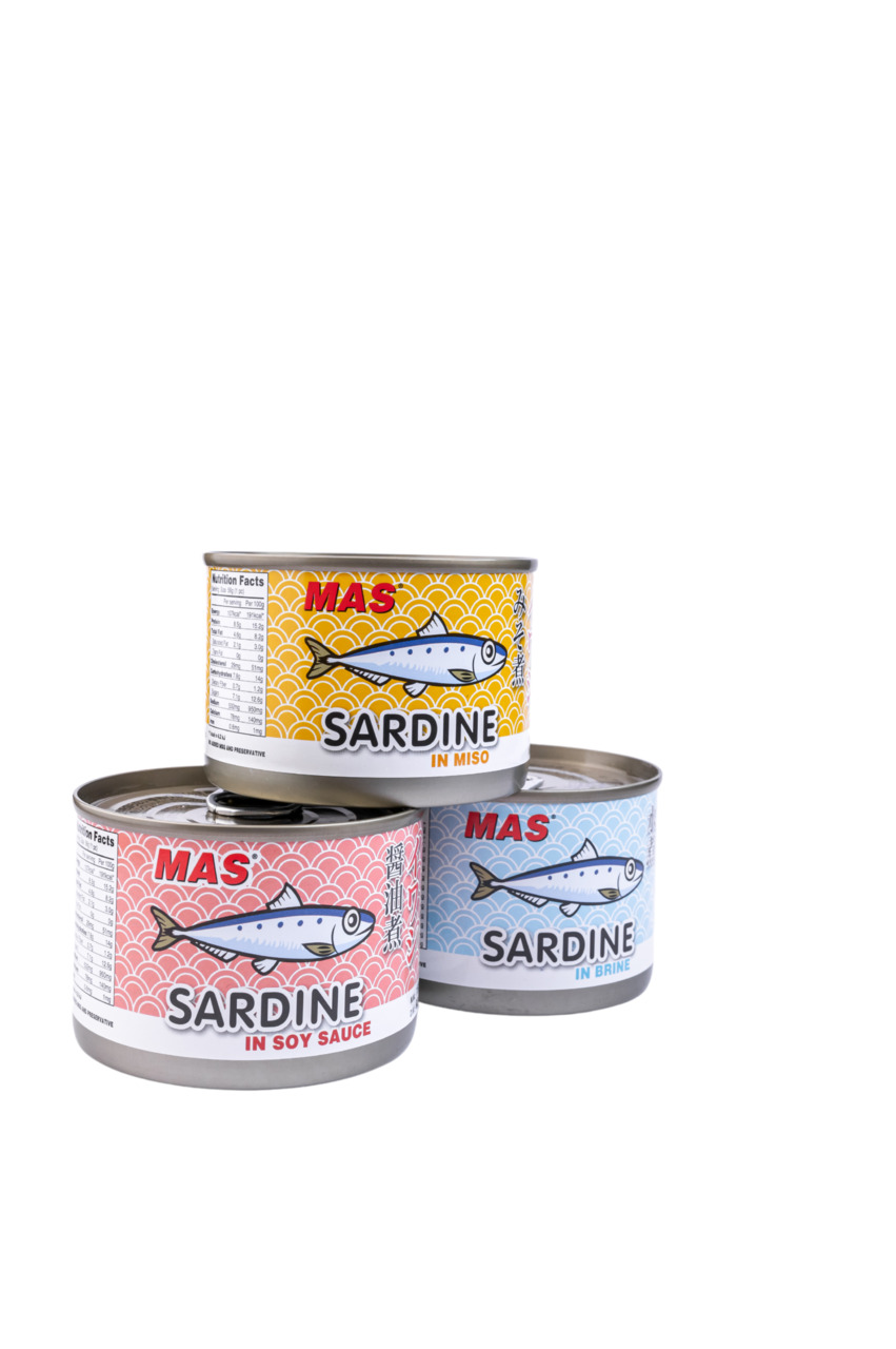 Canned iwashi(Sardine) Image