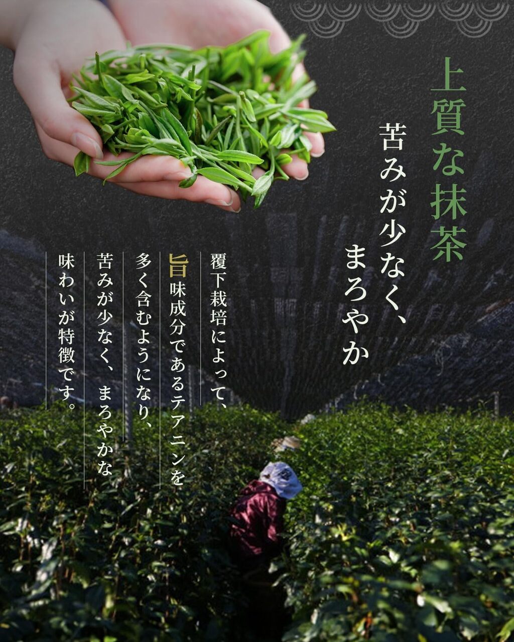 Matcha 20g Can Image