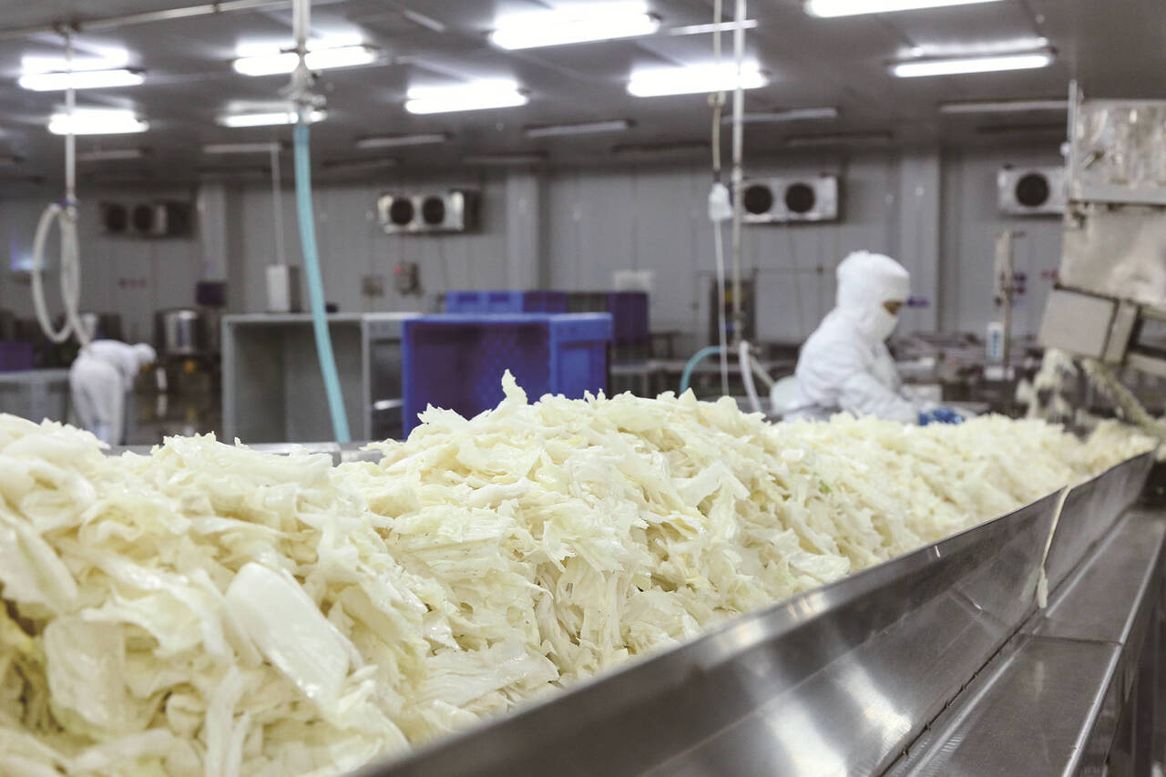 KIMCHI, Korean Kimchi Image