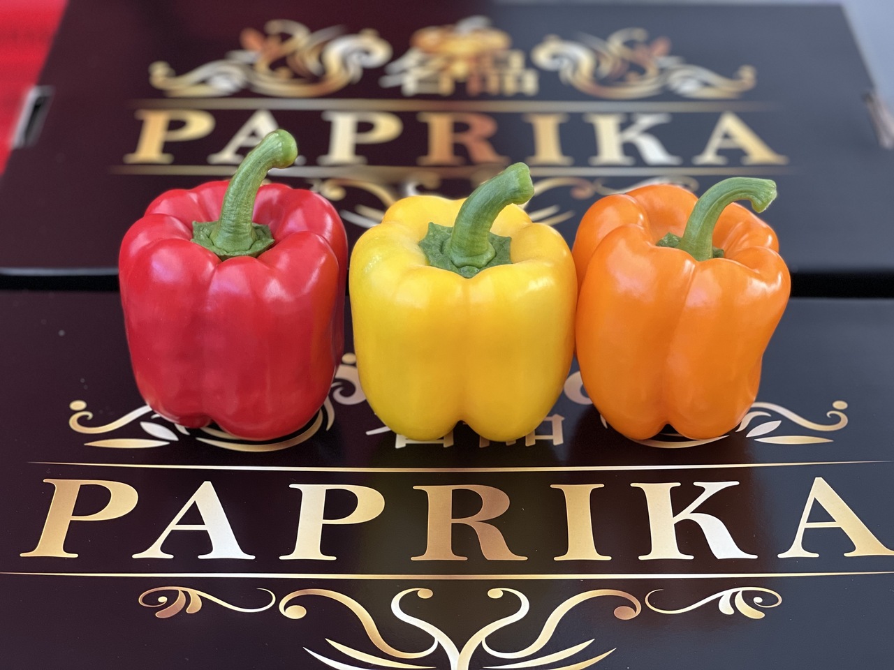 Paprika Image