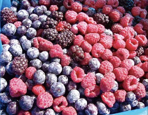 冷凍フルーツ イメージ