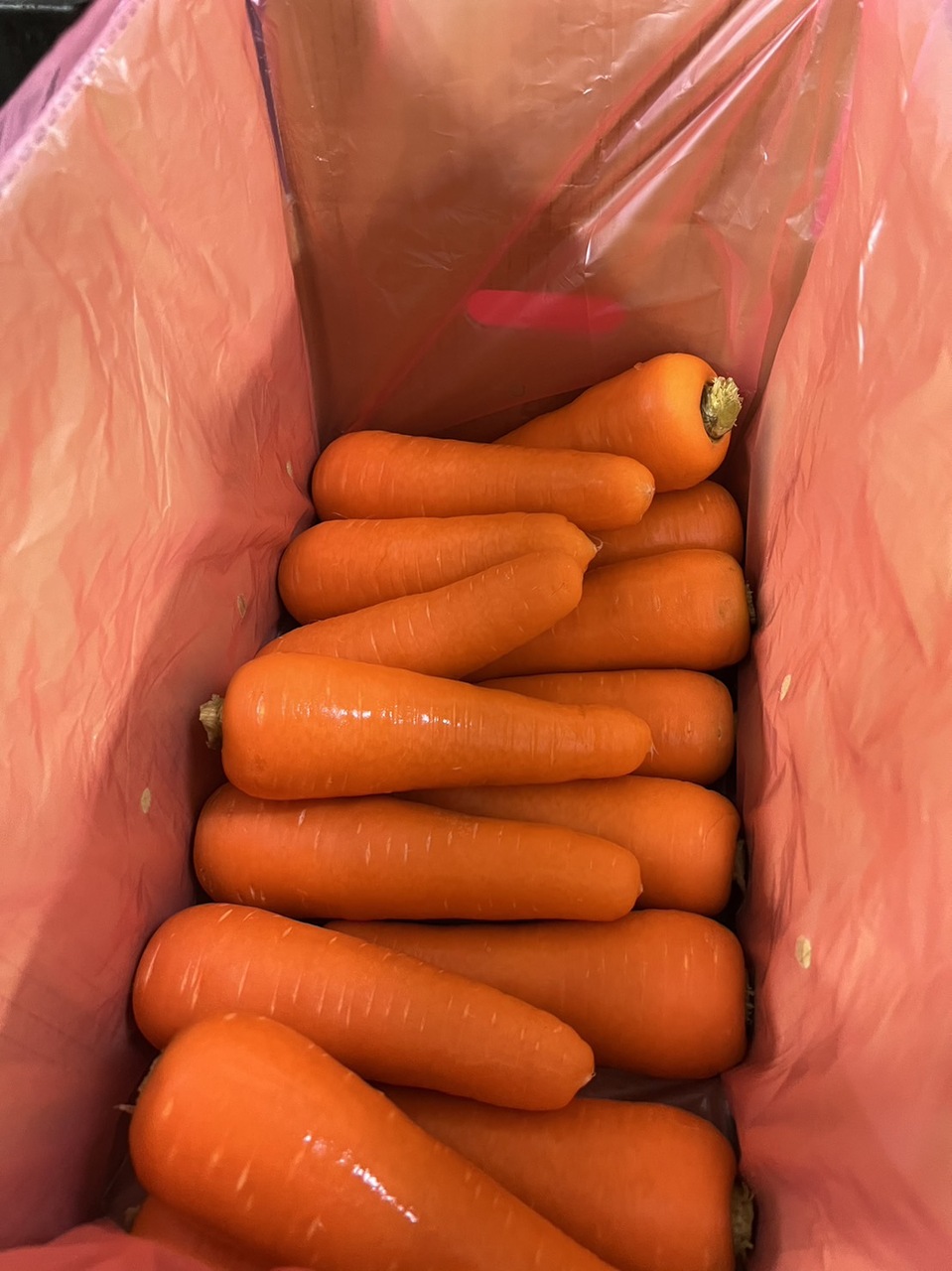 Fresh Carrot  Image