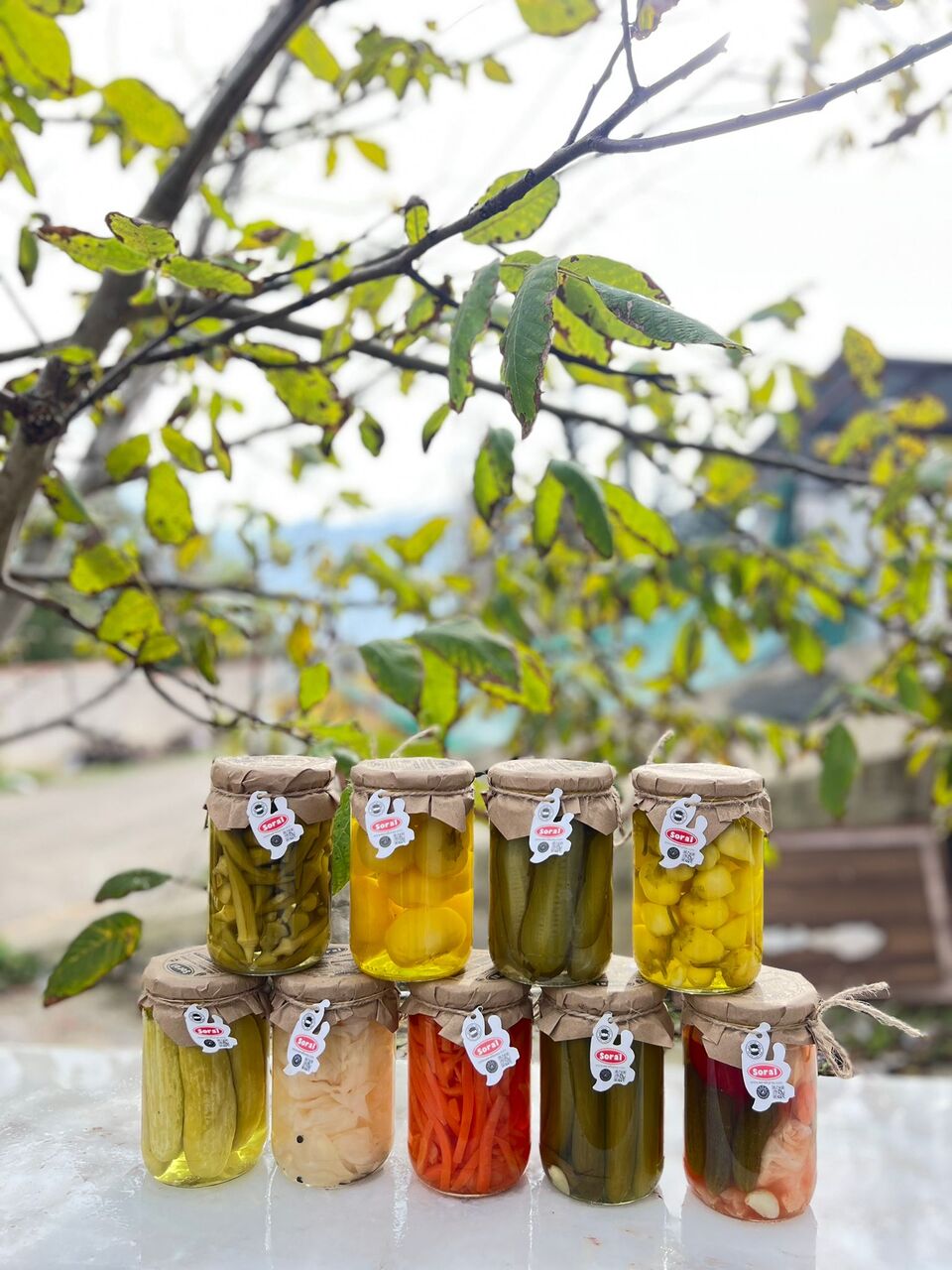 JAR PICKLE VARIETIES Image