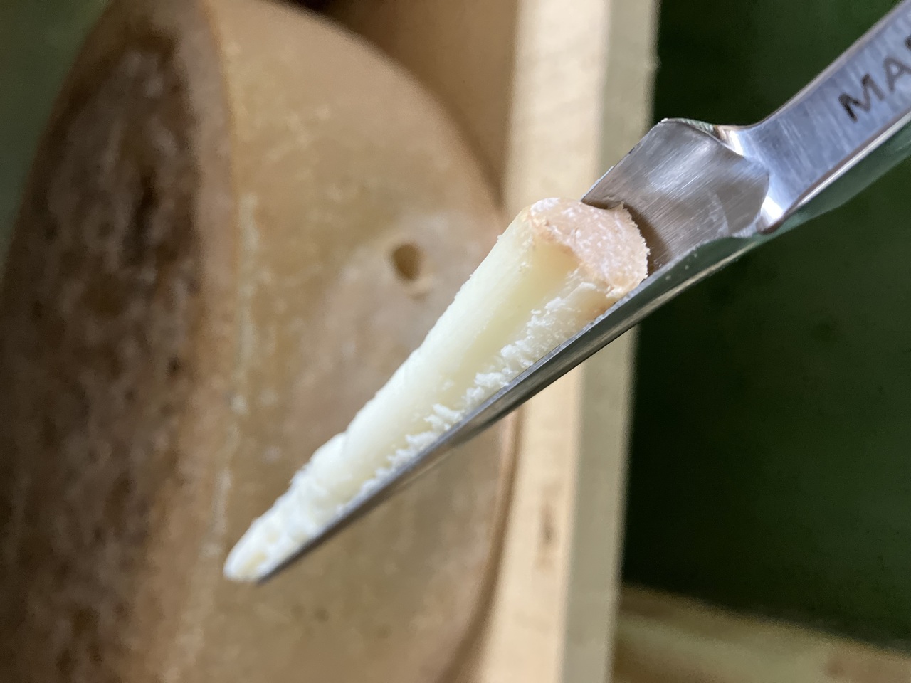 エゾリスのハードチーズ イメージ