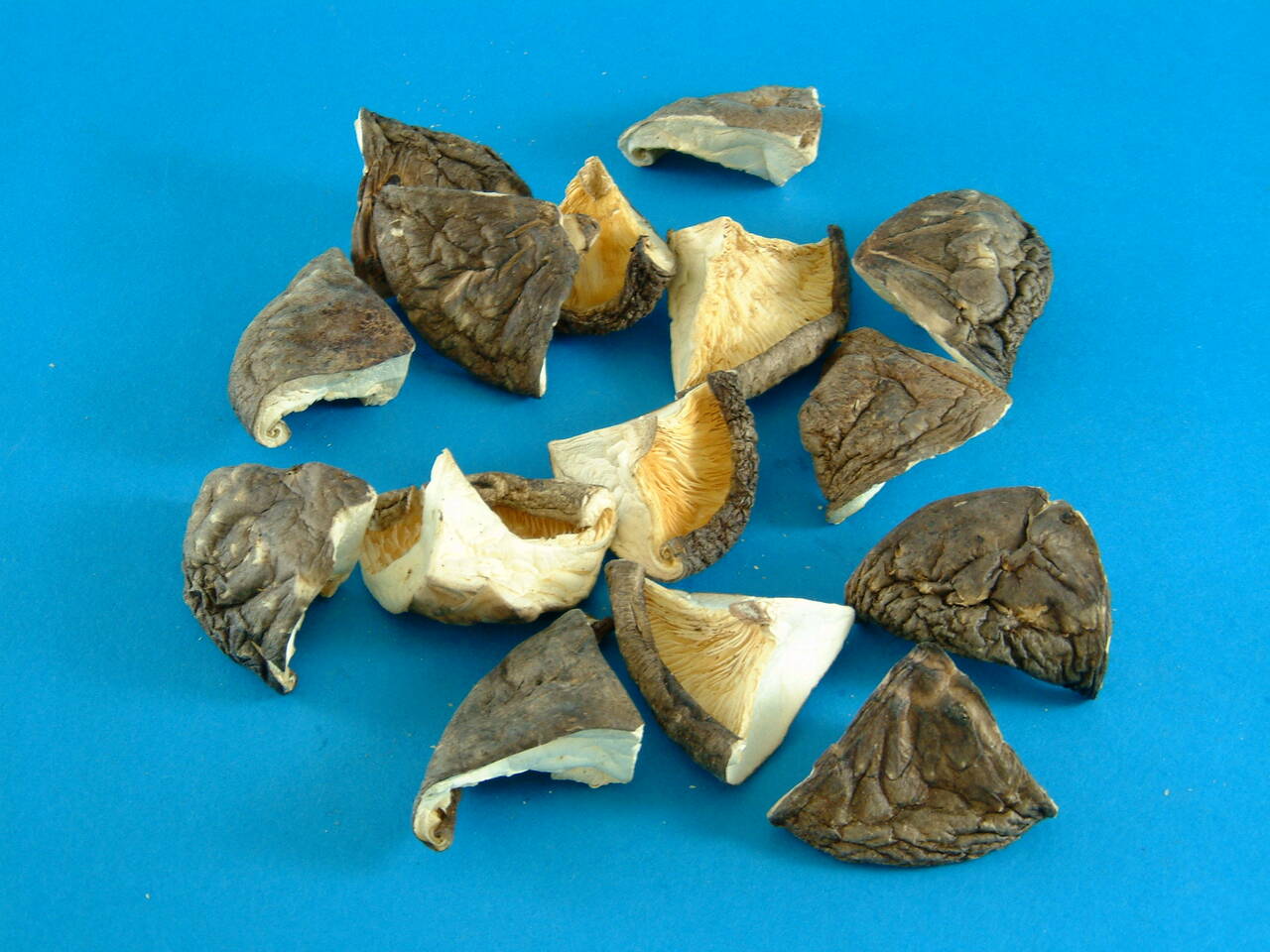 業務用乾しいたけ商品 イメージ