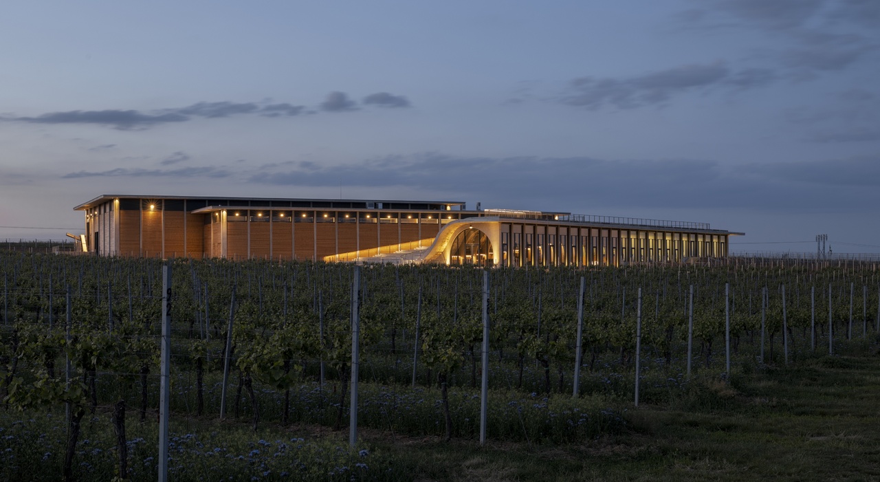 LAHOFER ピノ・ノワール セレクション 2024 イメージ