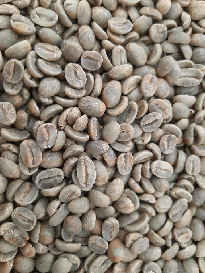 Aloha Star 100% Kona Coffee Image