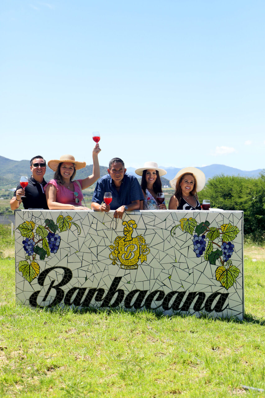 【ワイン】バルバカーナ　BARBACANA イメージ