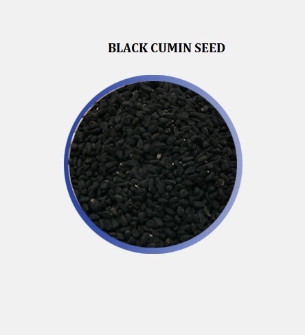 Ethiopian origin Agricultural Commodities pulses, oil seeds and Spices イメージ