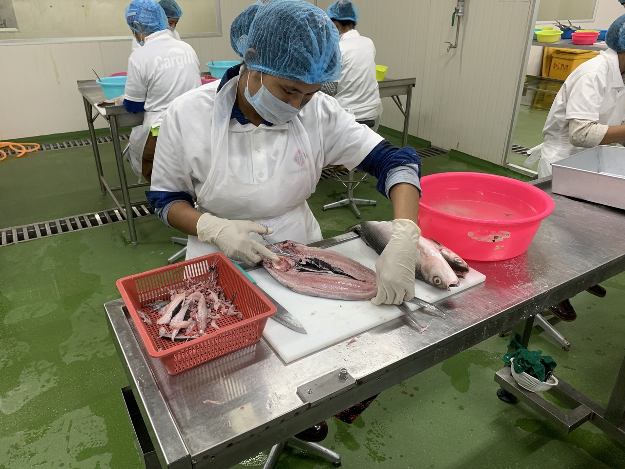 Deboned Milkfish Image