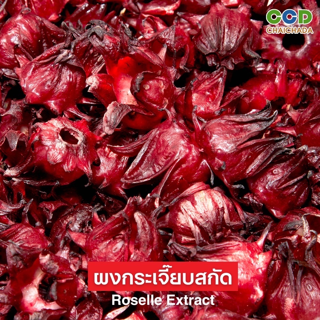Roselle (Hibiscus sabdariffa) Image