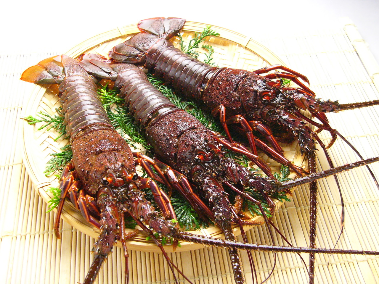 Ise Ebi (Japanese spiny lobsters)  Image