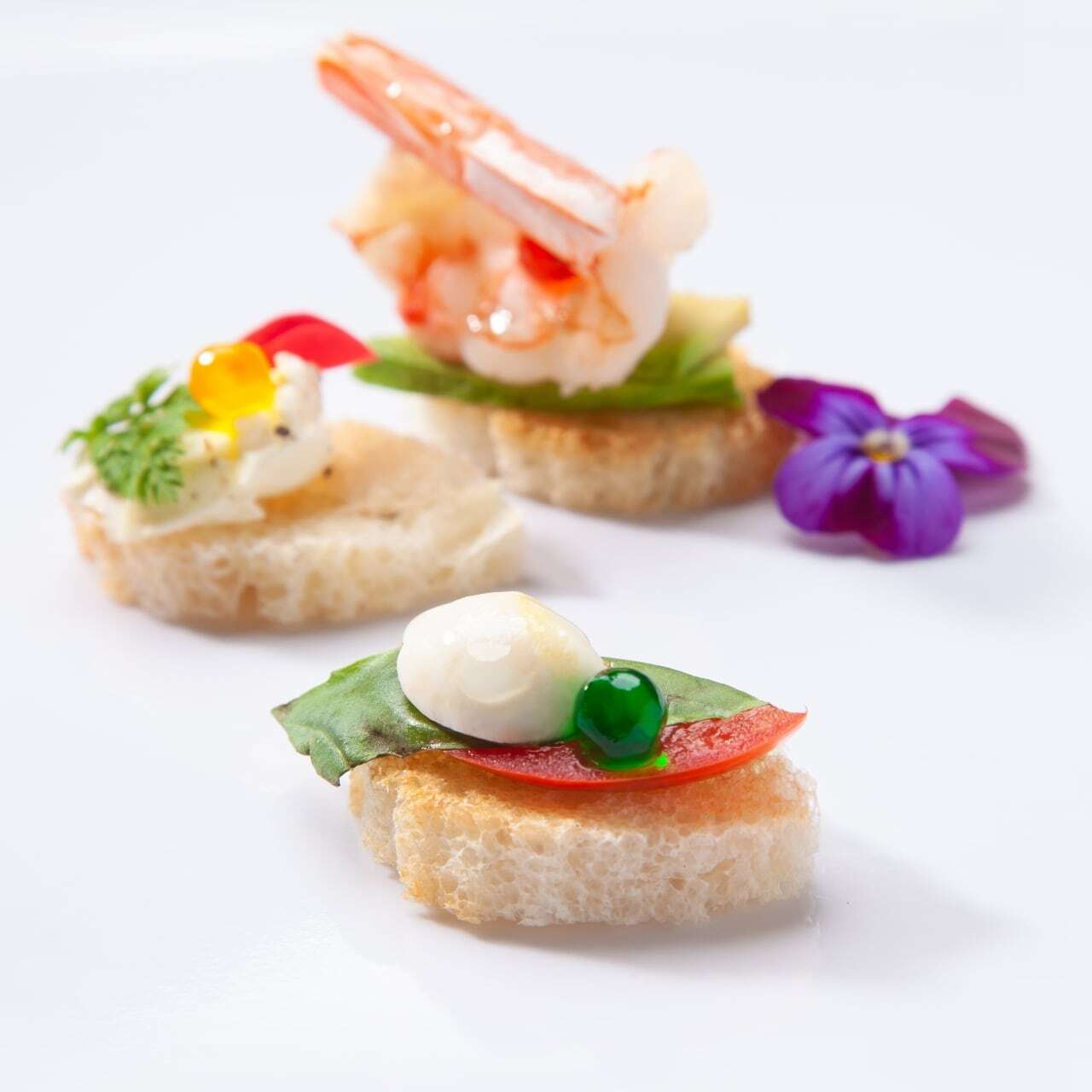 プチル イメージ