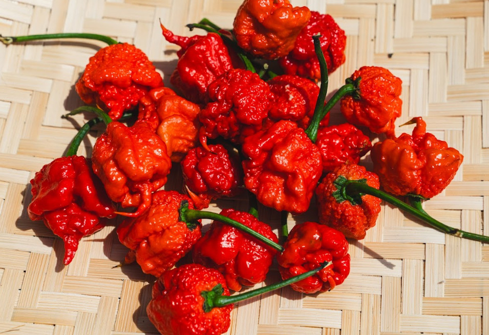 とうがらし（青果　唐辛子） イメージ