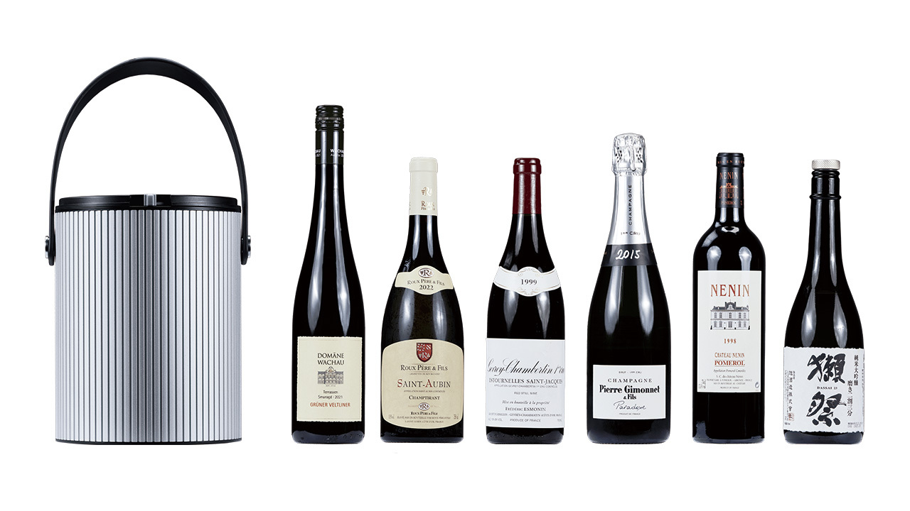 Lyra Silver Multi-Fit Bottle Chiller Image