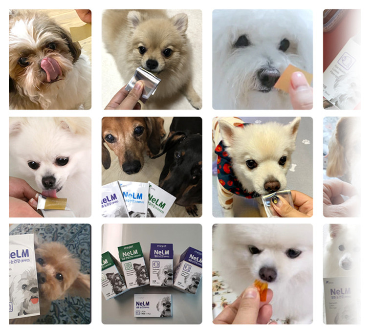 Pet Omega supplement (Skin&Coat) ODF - oral dissolving film Image