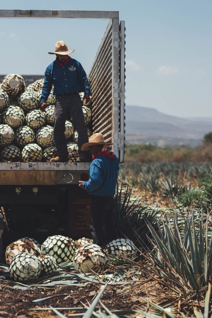 Private Label  Image