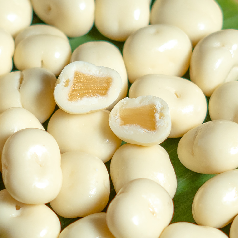 サステナブルチョコレート　シリーズ イメージ