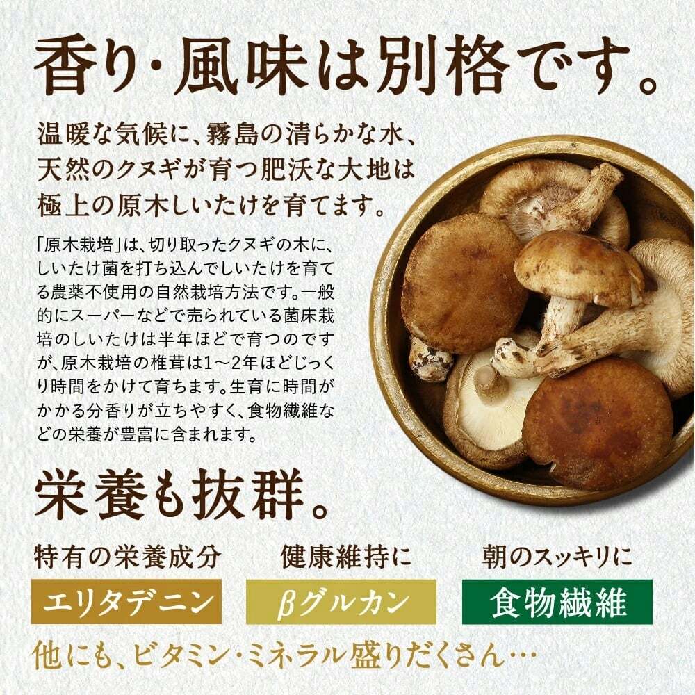 Healthy UMAMI Shiitake Mushroom Snack Image