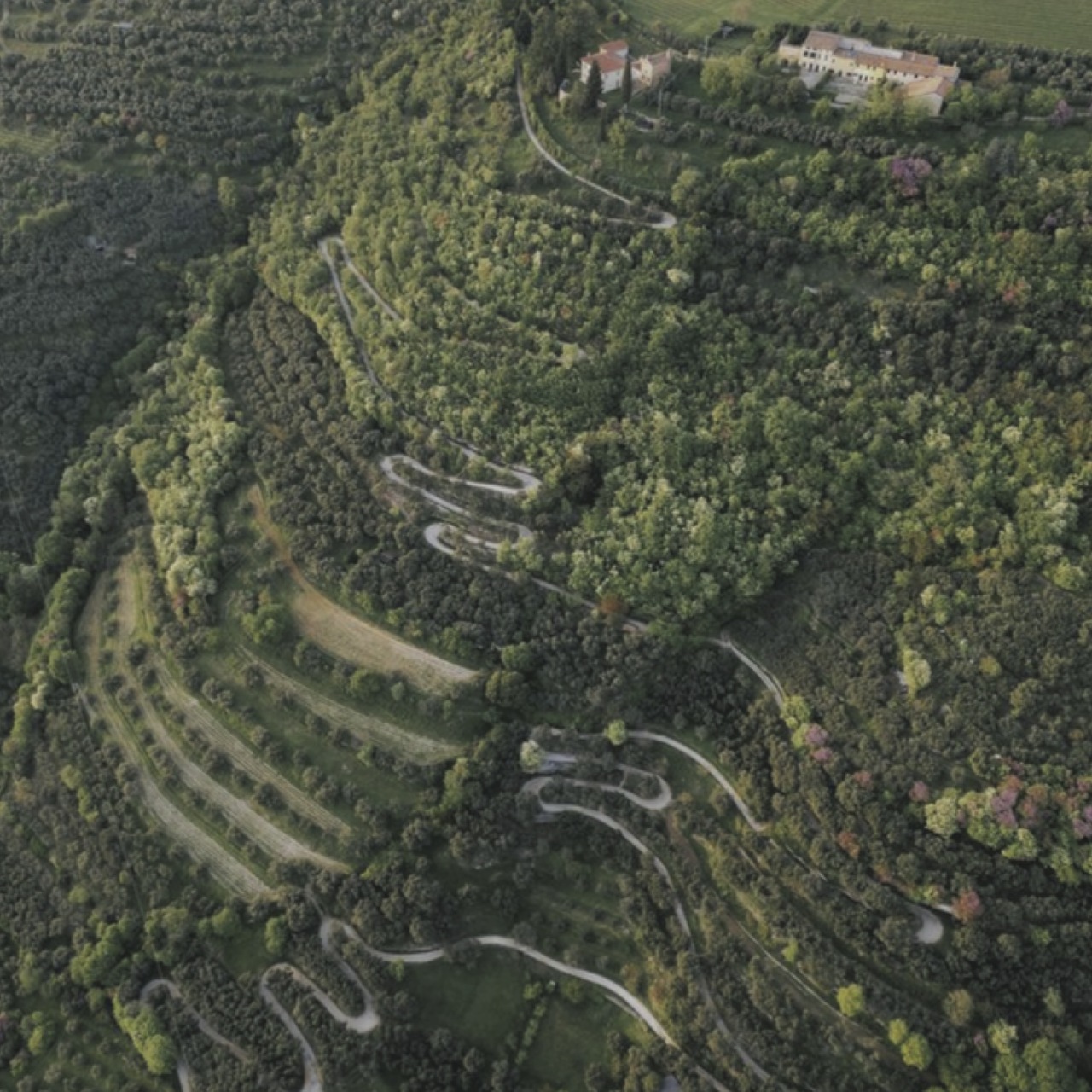 Ripa della Volta Amarone della Valpolicella DOCG  Image