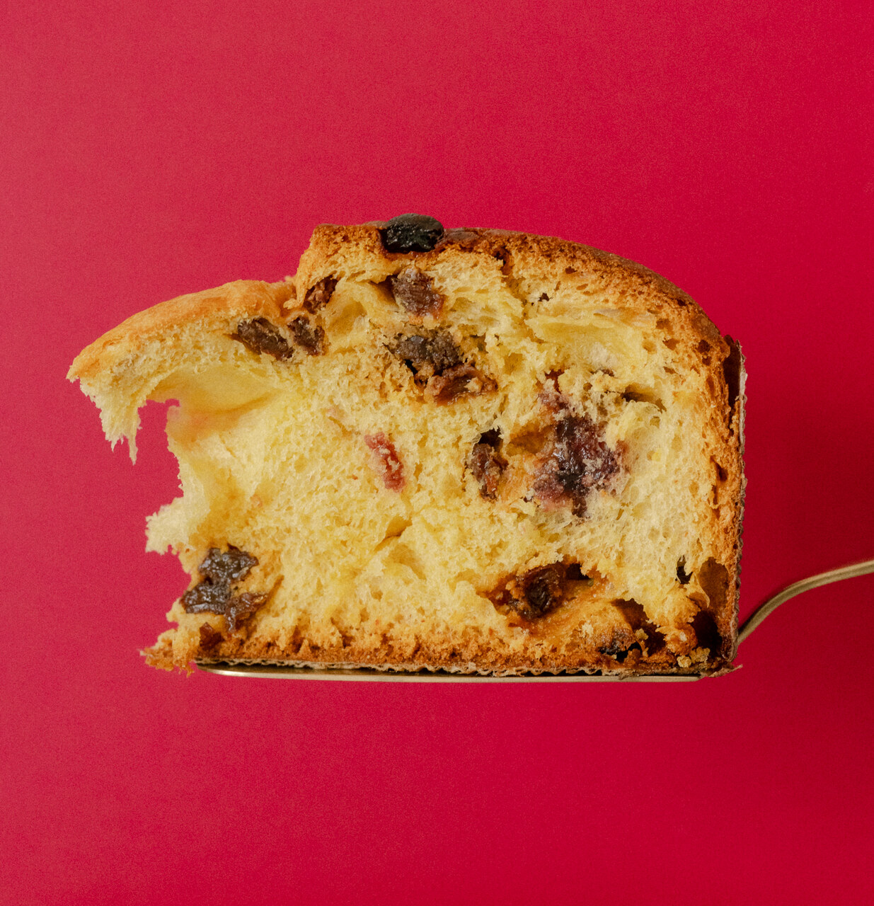Pan'AGRUMATO® - Olive Oil Panettone Image