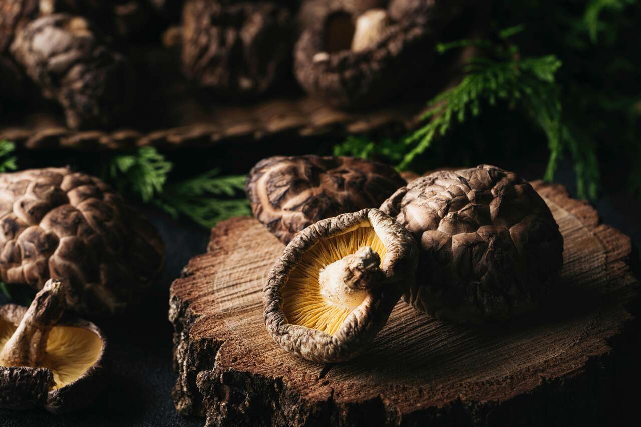 Japanese Shiitake Mushrooms Image