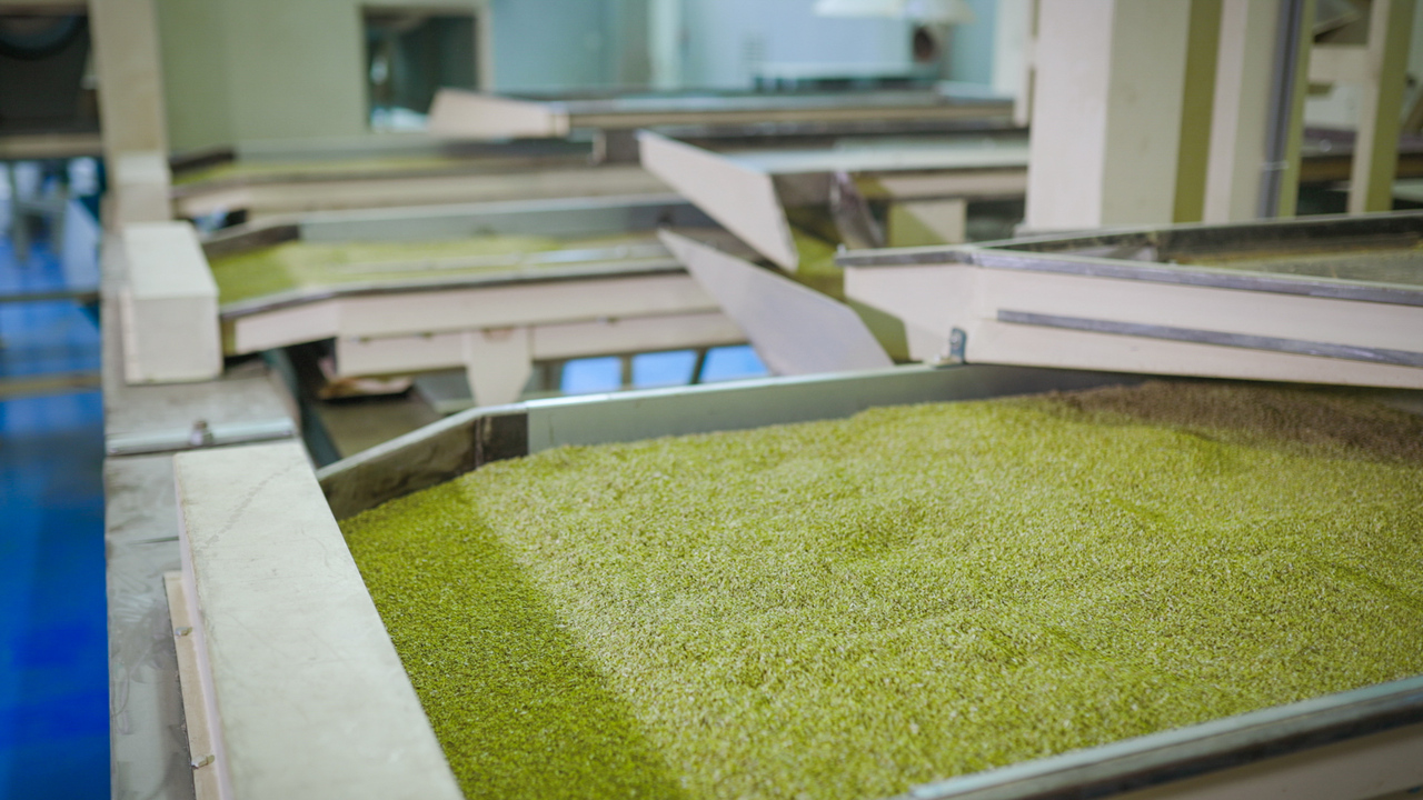 Wispy Oregano HoReCa 1000cc Image