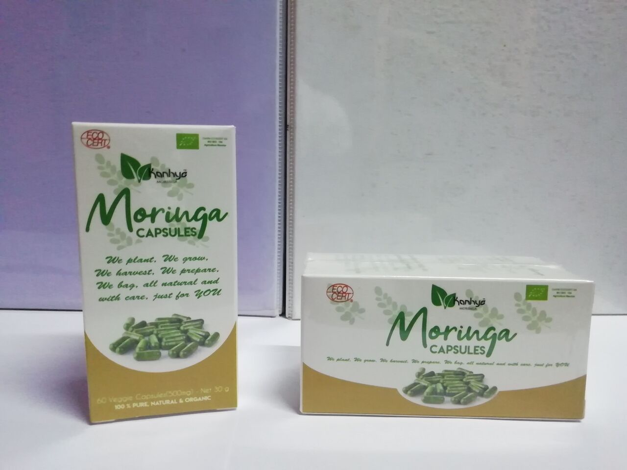 1. Moringa Tea/infusion  2. Moringa and hibuscus infusion  3. Moringa powder.   4. Moringa and ginger infusion 5. Moringa capsule Image