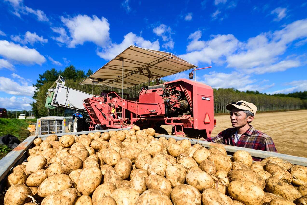 北海黄金のフライドポテト イメージ