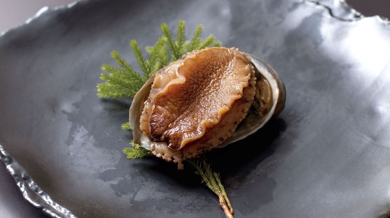 Korean Ezo abalone Image