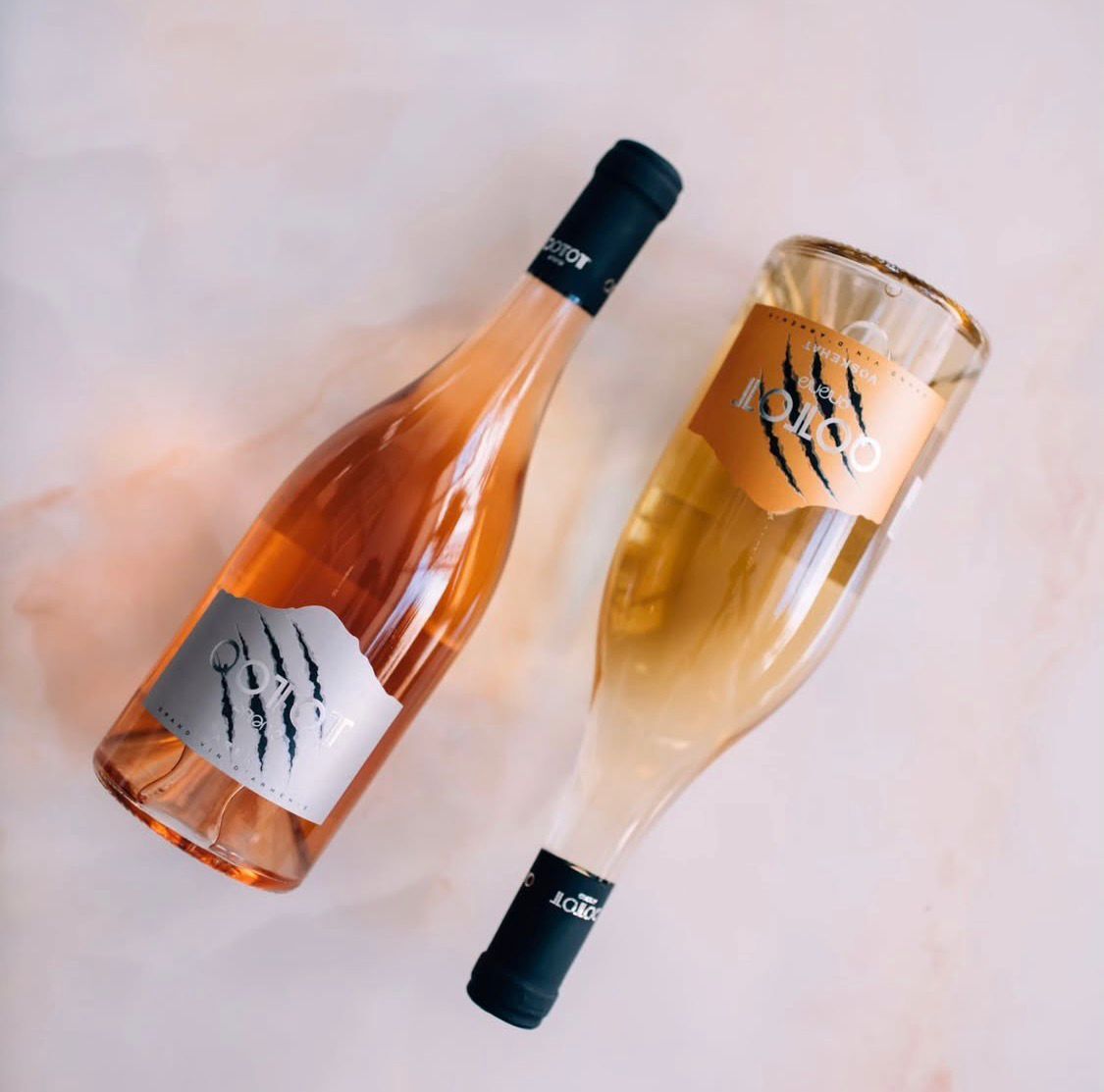 コトット 赤 辛口ワイン イメージ