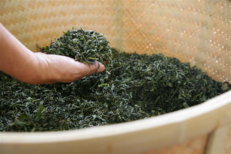 有機煎茶（緑茶、深蒸し、ほうじ茶、玉露） イメージ