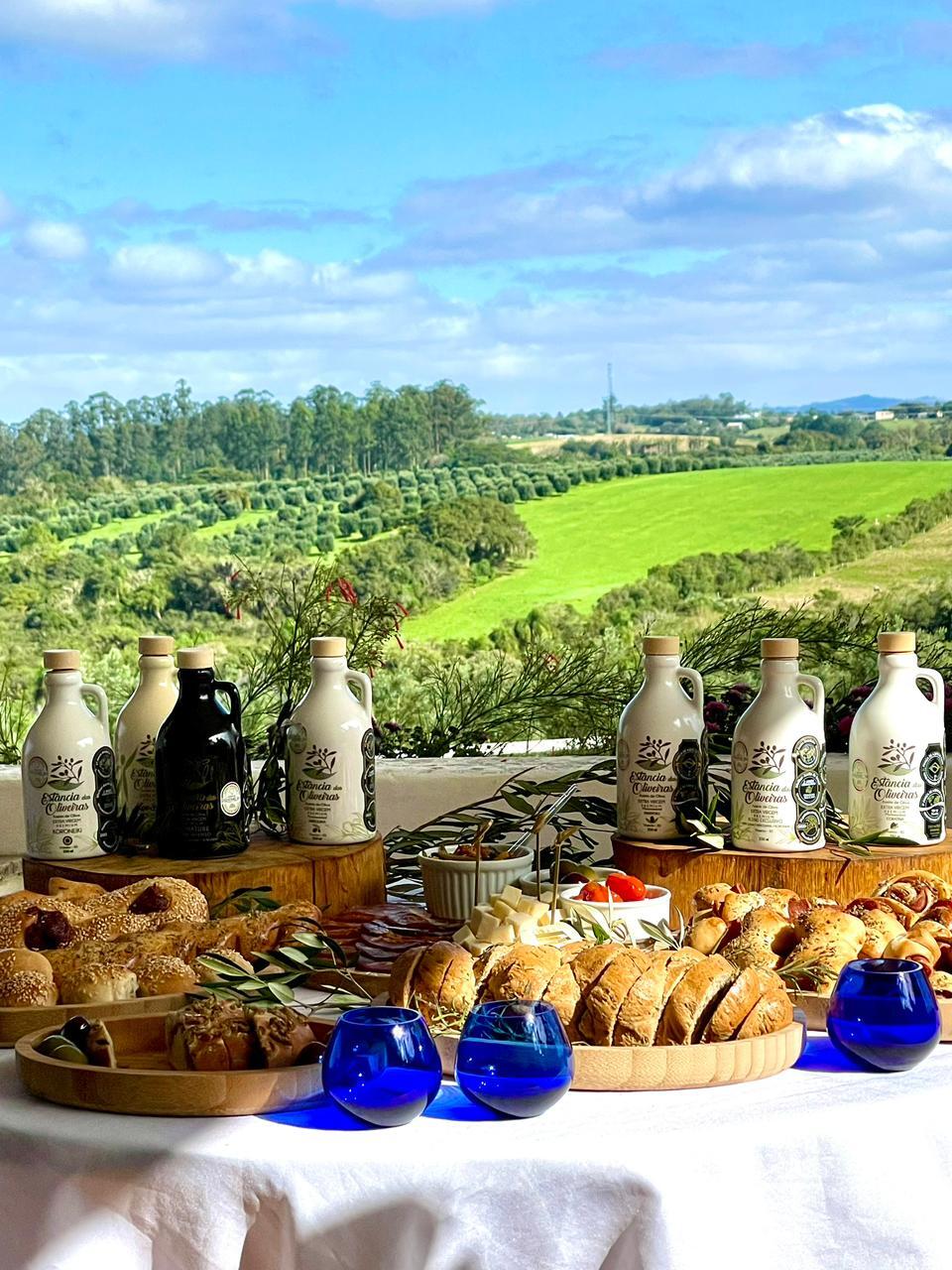 Olive Oil Extra Virgin Picual Image