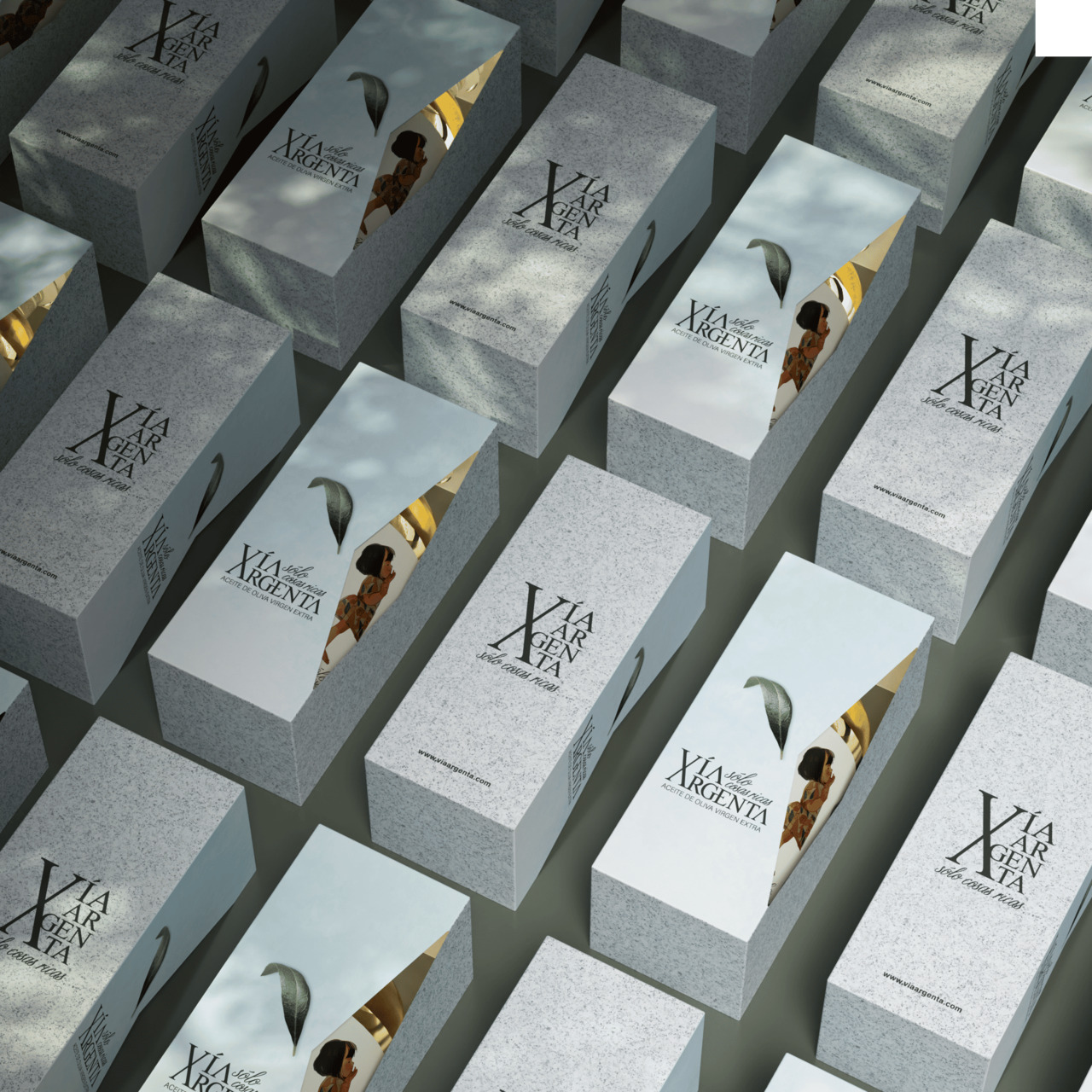 EXTRA VIRGIN OLIVE OIL PREMIUM ARBEQUINA 500ML EARLY HARVEST EVOO Image