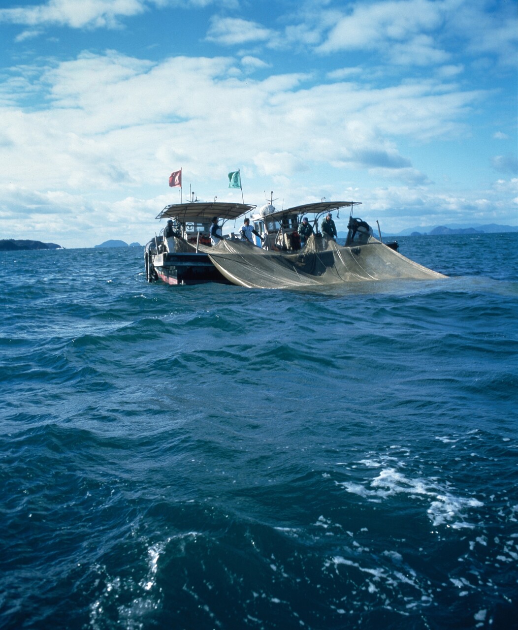 煮干し イメージ