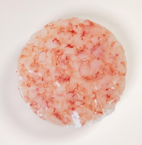 Frozen Mediterranean Shrimps and Seafood イメージ